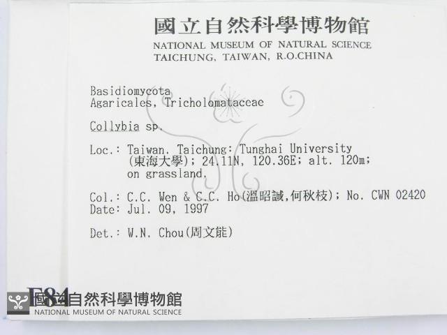 登錄號:F0008441藏品圖，第2張