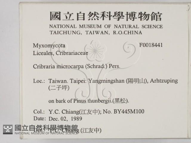 登錄號:F0018441藏品圖，第2張