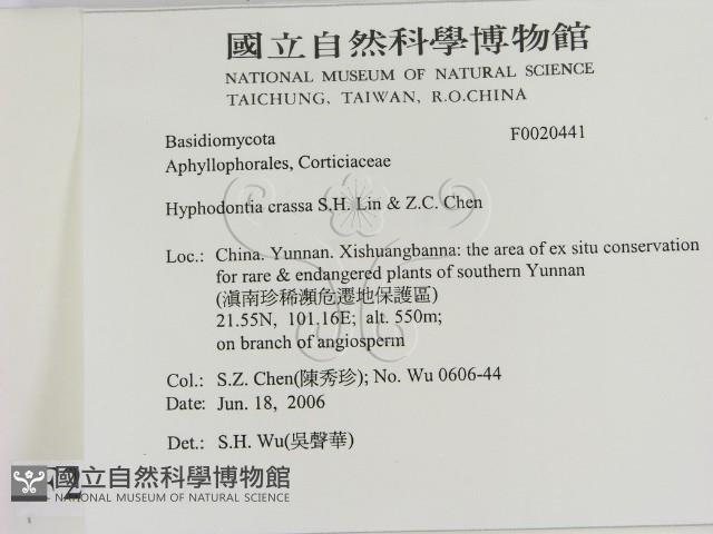 登錄號:F0020441藏品圖，第2張