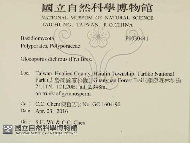 登錄號:F0030441藏品圖，第2張