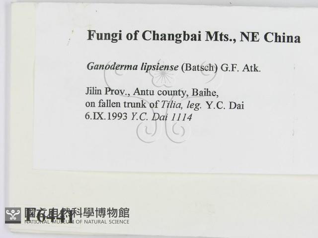 登錄號:F0006441藏品圖，第2張