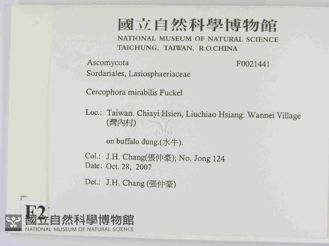 登錄號:F0021441藏品圖，第2張