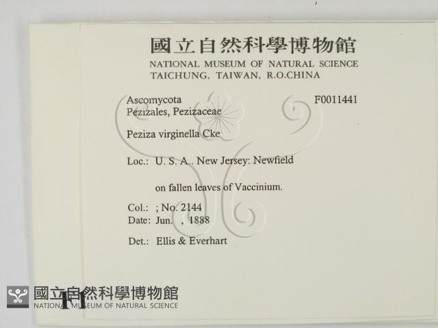 登錄號:F0011441藏品圖，第2張