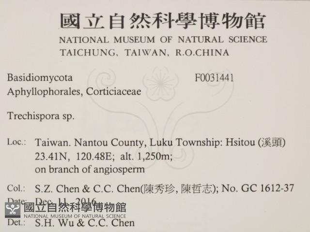 登錄號:F0031441藏品圖，第2張
