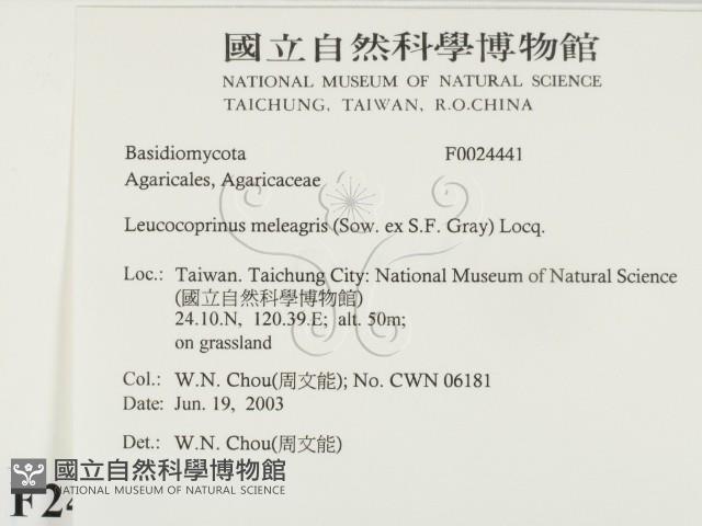 登錄號:F0024441藏品圖，第2張