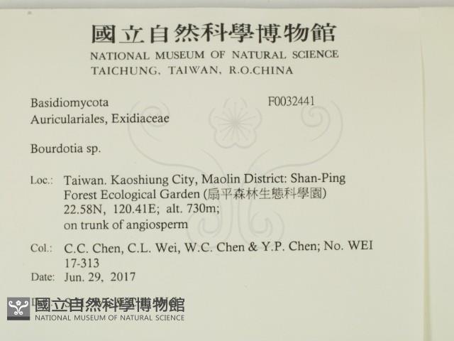 登錄號:F0032441藏品圖，第2張