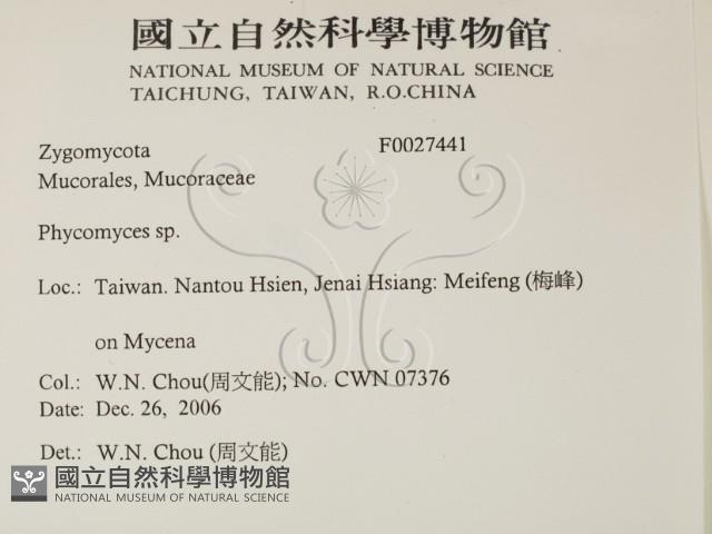 登錄號:F0027441藏品圖，第2張