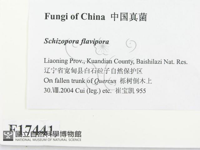 登錄號:F0017441藏品圖，第2張