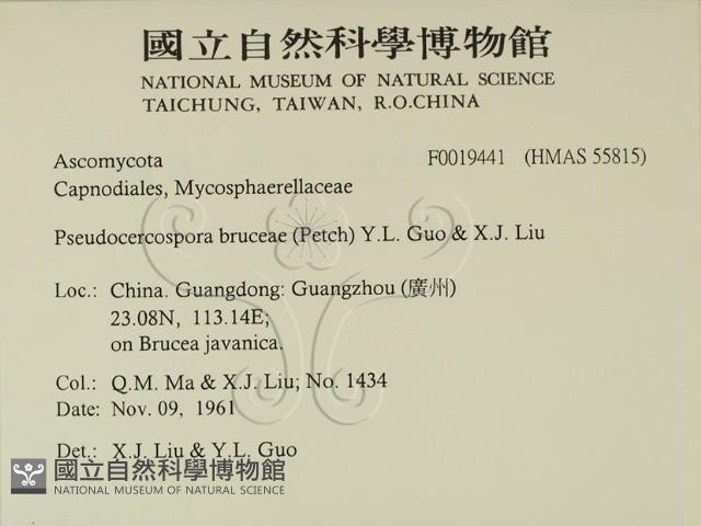登錄號:F0019441藏品圖，第2張