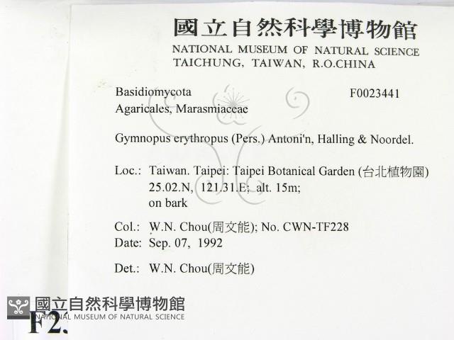 登錄號:F0023441藏品圖，第2張