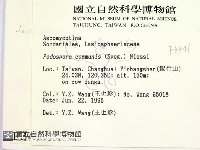 登錄號:F0003441藏品圖，第2張