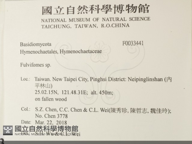 登錄號:F0033441藏品圖，第2張