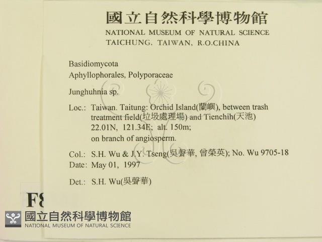 登錄號:F0008741藏品圖，第2張