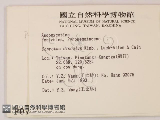 登錄號:F0000741藏品圖，第2張