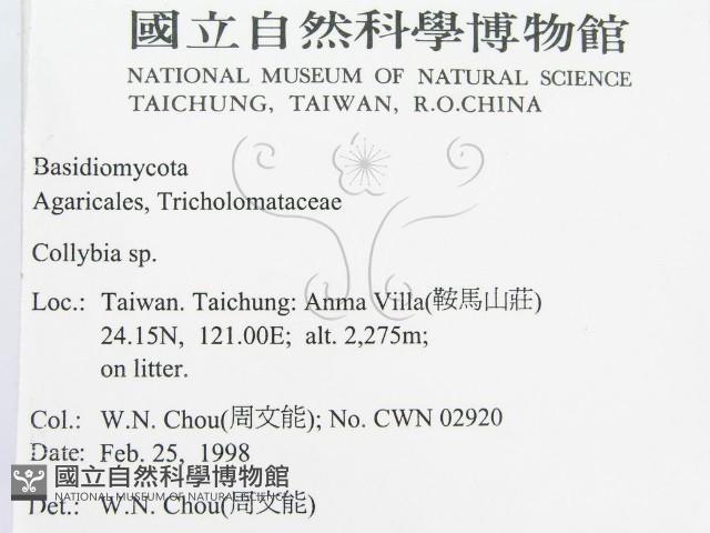 登錄號:F0010741藏品圖，第2張