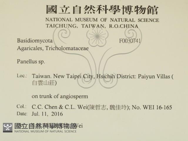 登錄號:F0030741藏品圖，第2張