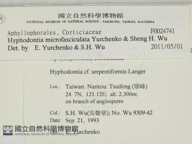 登錄號:F0024741藏品圖，第2張