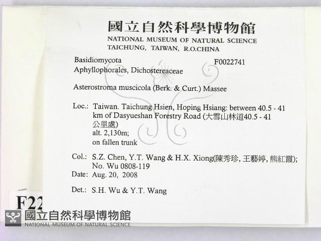 登錄號:F0022741藏品圖，第2張