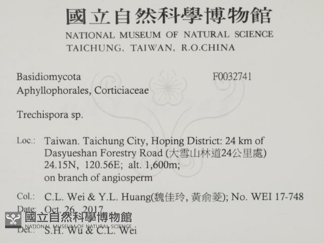 登錄號:F0032741藏品圖，第2張