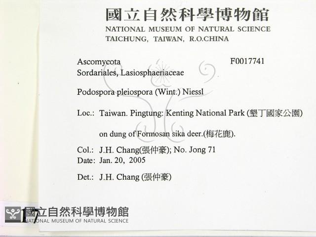 登錄號:F0017741藏品圖，第2張