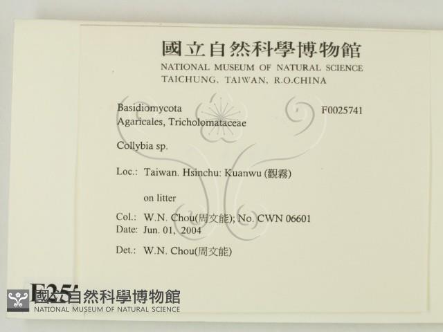 登錄號:F0025741藏品圖，第2張