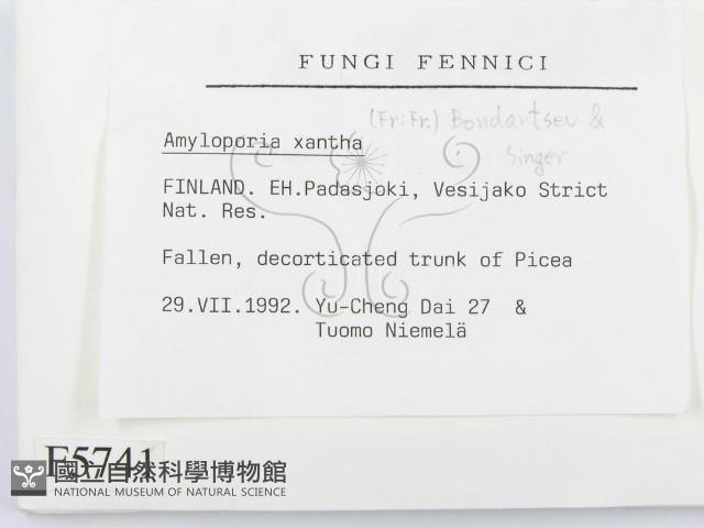 登錄號:F0005741藏品圖，第2張