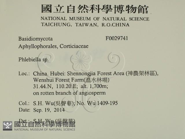 登錄號:F0029741藏品圖，第2張