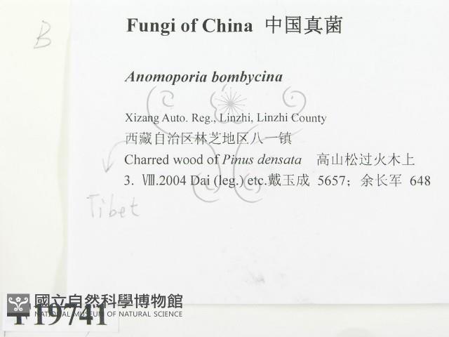 登錄號:F0019741藏品圖，第2張
