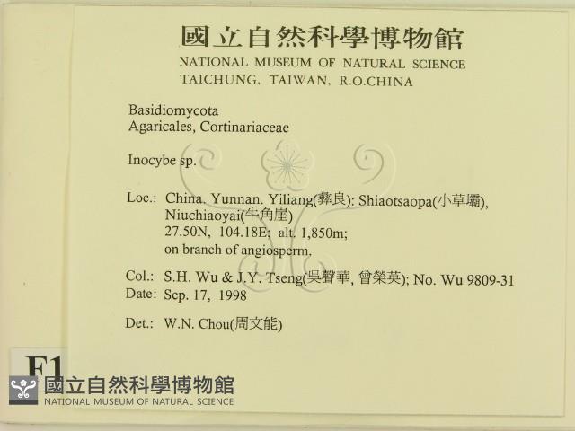 登錄號:F0013741藏品圖，第2張