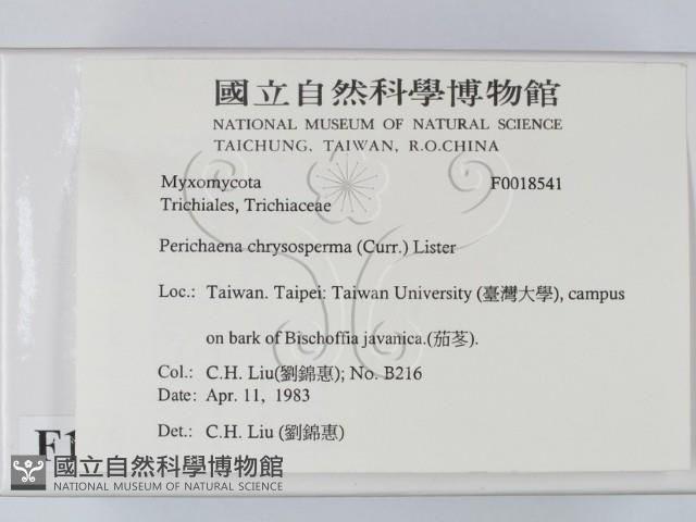 登錄號:F0018541藏品圖，第2張