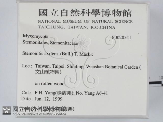 登錄號:F0020541藏品圖，第2張
