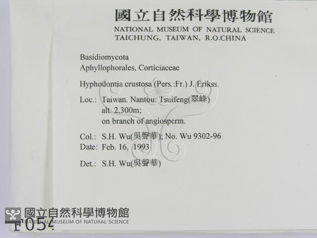 登錄號:F0000541藏品圖，第2張
