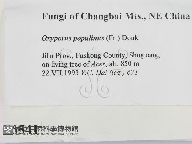 登錄號:F0006541藏品圖，第2張