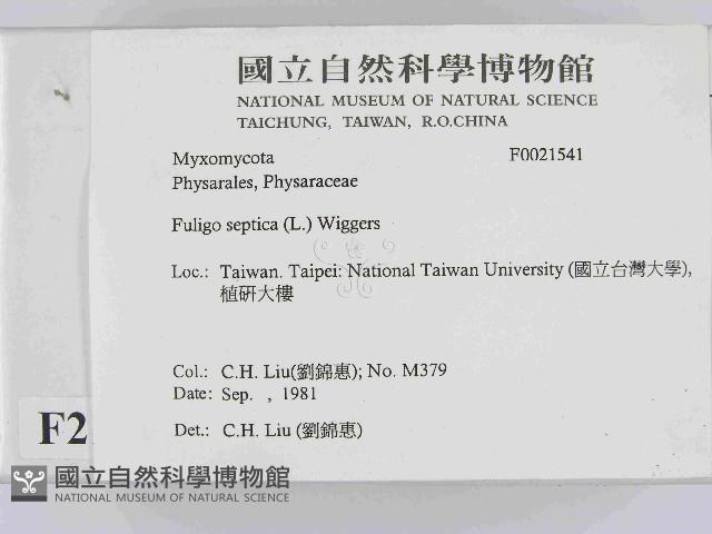 登錄號:F0021541藏品圖，第2張