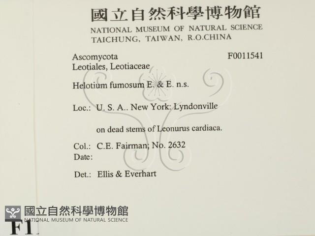 登錄號:F0011541藏品圖，第2張