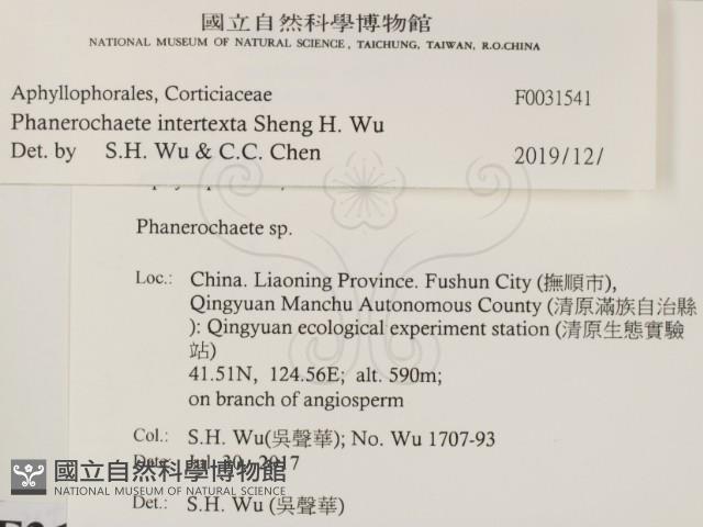 登錄號:F0031541藏品圖，第1張