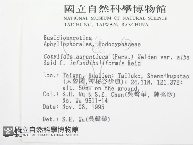 登錄號:F0004541藏品圖，第2張