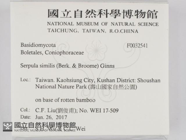 登錄號:F0032541藏品圖，第2張