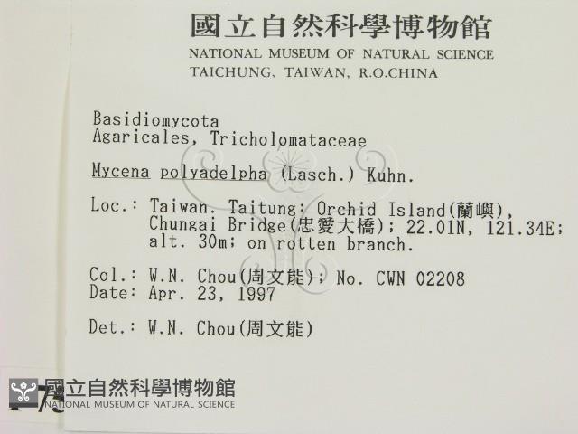 登錄號:F0007541藏品圖，第2張