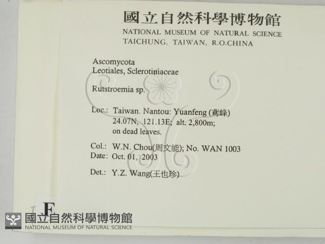登錄號:F0015541藏品圖，第2張