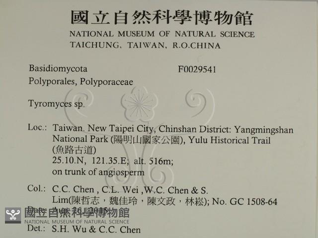 乾酪菌屬藏品圖，第2張