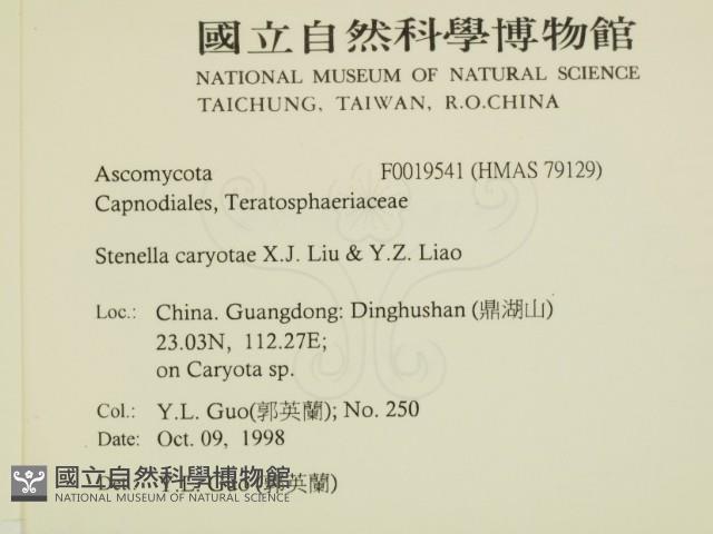 登錄號:F0019541藏品圖，第2張