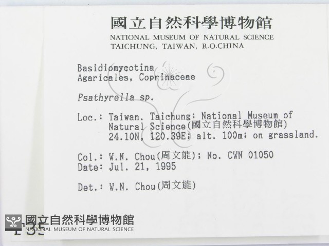 登錄號:F0003541藏品圖，第2張