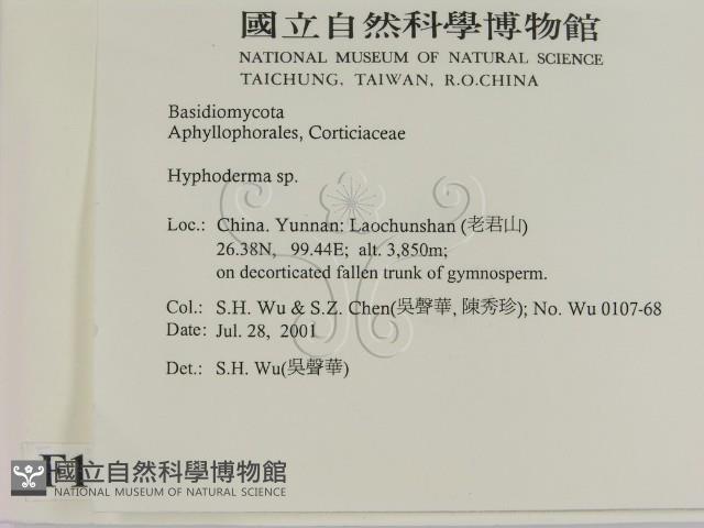 絲皮菌屬藏品圖，第2張