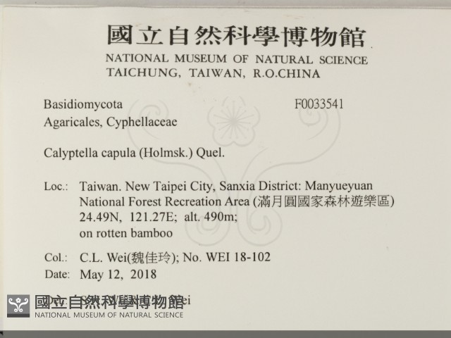 登錄號:F0033541藏品圖，第2張