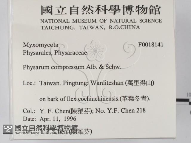 登錄號:F0018141藏品圖，第2張