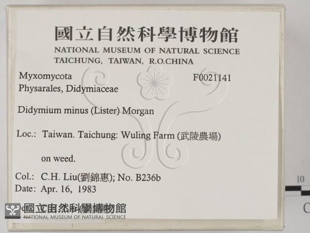 登錄號:F0021141藏品圖，第2張