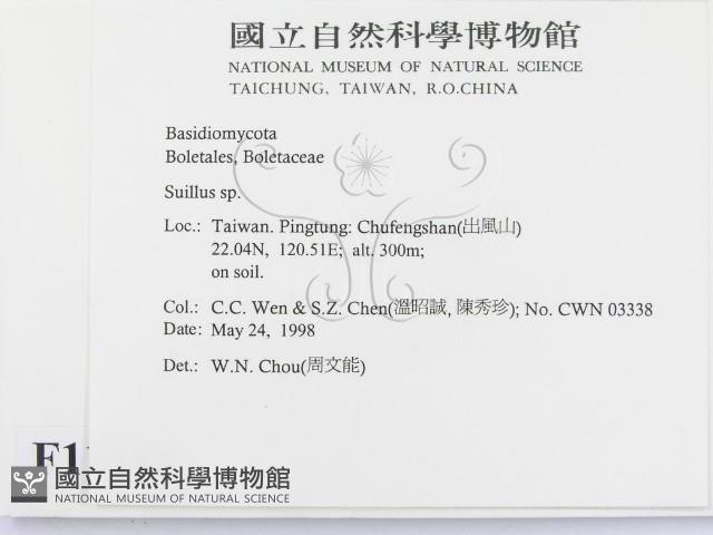 登錄號:F0011141藏品圖，第2張