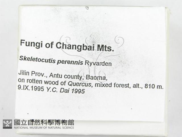 登錄號:F0007141藏品圖，第2張