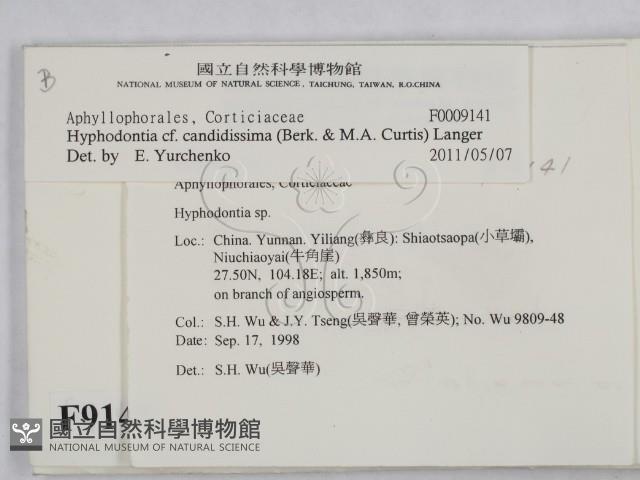 登錄號:F0009141藏品圖，第2張